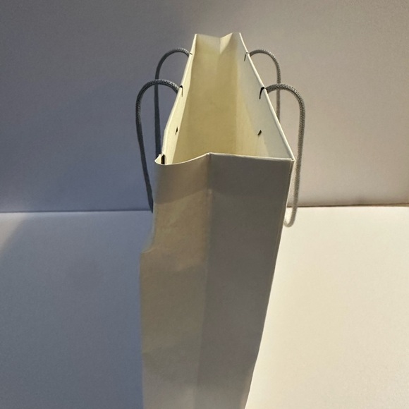 Genius Apple Store Large Paper Shopping Bag
White w/ Gray  Logo  & Handles L/XL - Picture 5 of 8